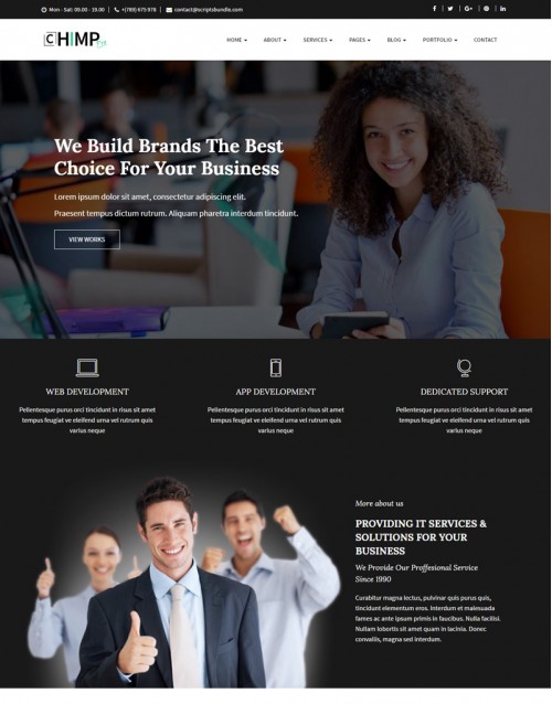 Template HTML5 site para  Assessorias em Negócios Chimppro